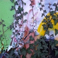 2010-02-epuration-OK (44)